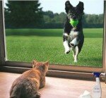 Видео высокой четкости